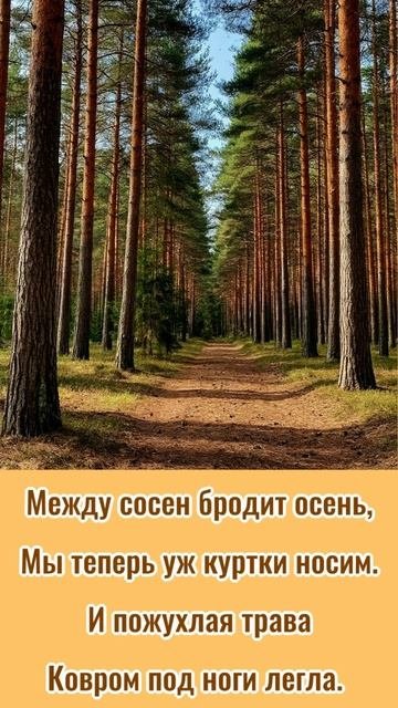 Между сосен бродит осень (автор Сергей Чебунин, читает Светлана Щитникова)