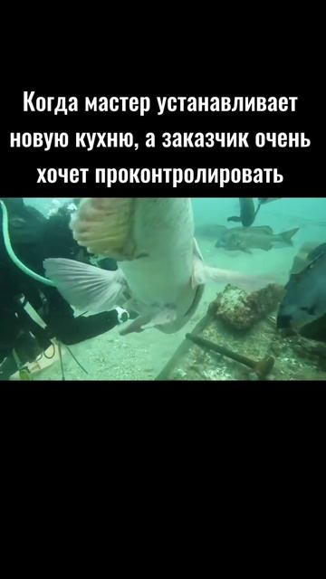 Когда мастер устанавливает новую кухню а заказчик очень хочет проконтролировать
