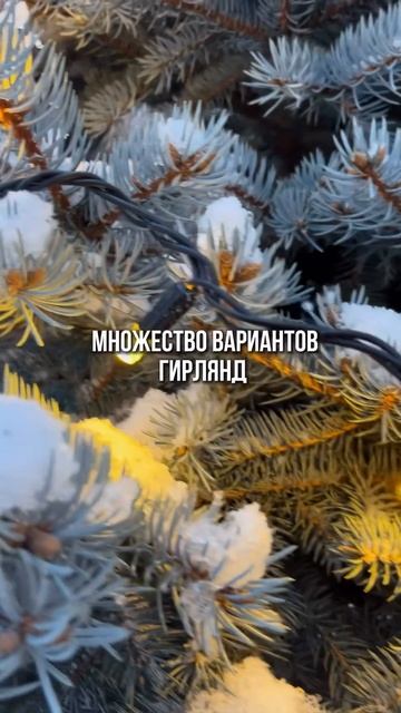 Не ждите зимней суеты, радуйте себя яркими огнями уже сейчас