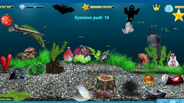 Мой игровой аквариум #4 с Хищными рыбами. Кормление хищников гуппяшками/ День 430