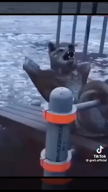 1000002539.mp4