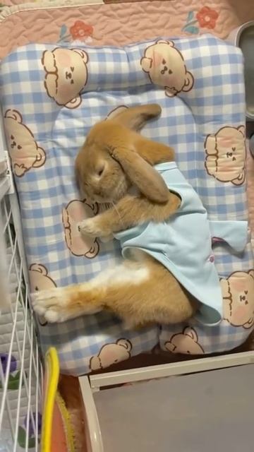 Доброй ночи!!!🤗