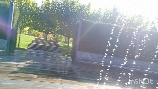 Гуляю по парку Галицкого. Краснодар