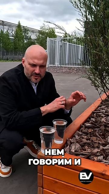 Зарядка Электромобиля. Быстрая или Медленная? Разбор!