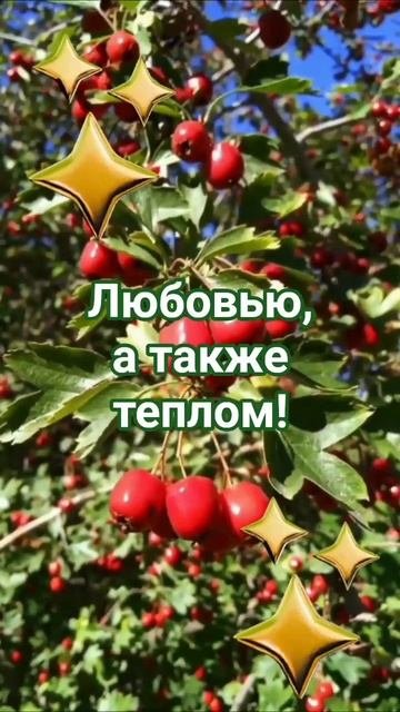 Доброе Утро!