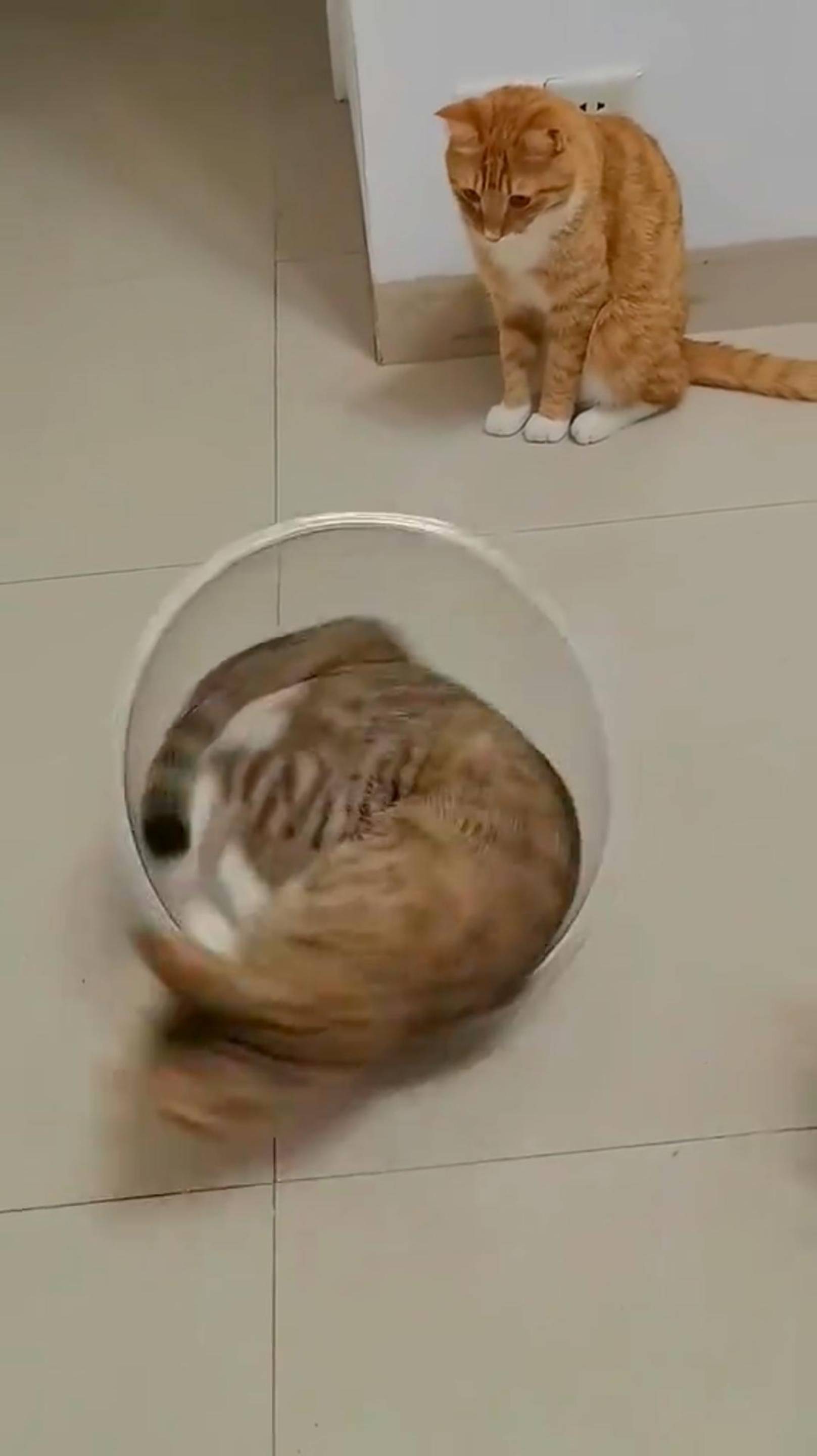 Земное притяжение и всё такое 😂