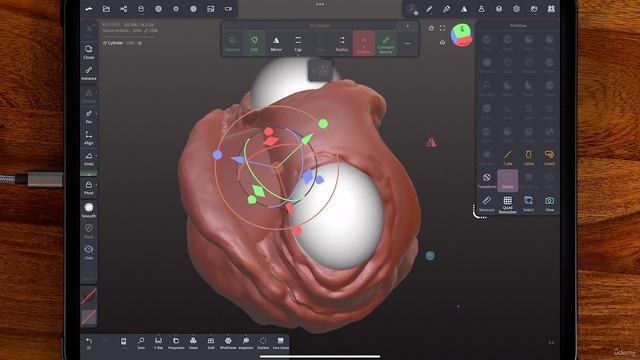 35 - Anna a Potential Voxel Remesh Issue