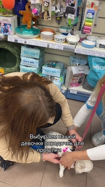 💕💕💕