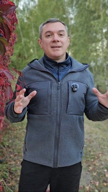 Бессознательная программа, забирающая энергию