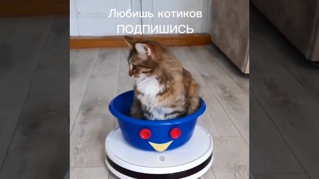 До кухни подкинешь?🤣