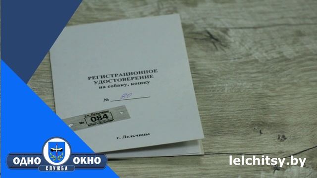 Регистрация домашних животных - по правилам!