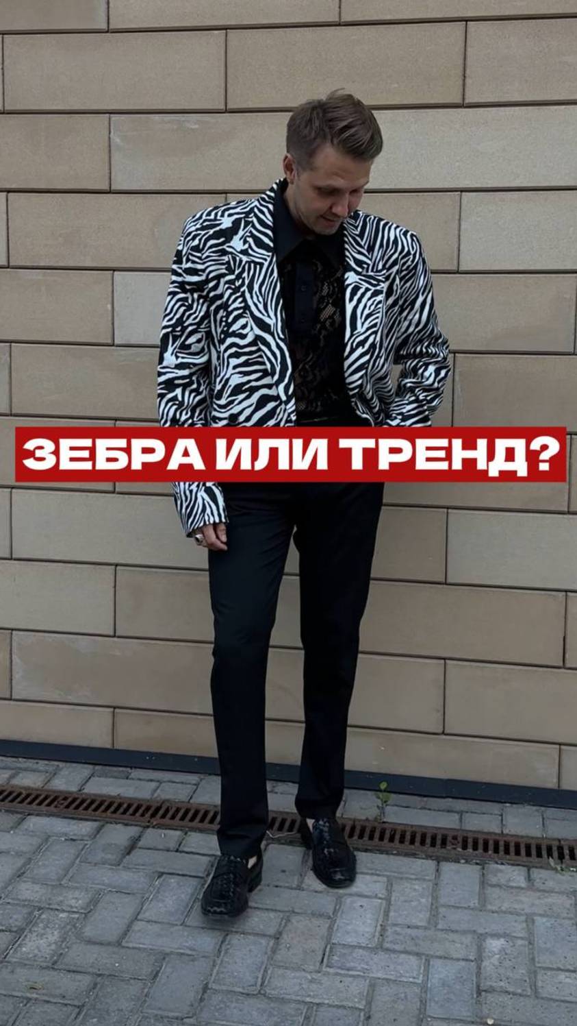 Зебра, новый тренд