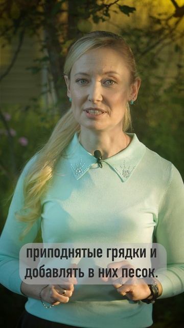 Что любят душистые травы?
