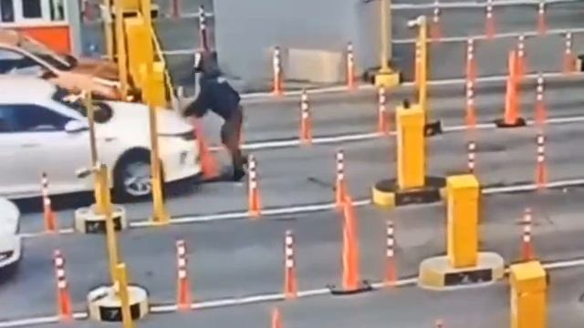 Инстинкты сильнее разума