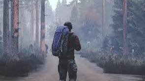 DAYZ Вечерний стрим)