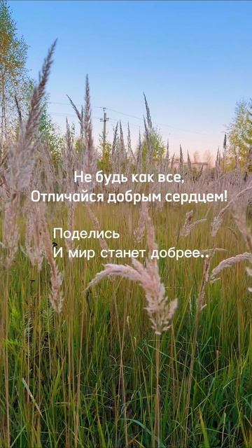 Доброе сердце❤️