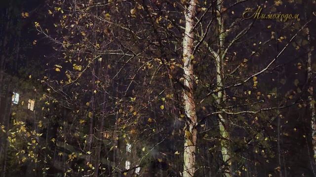 Ночные фонари ... "МИМОХОДОМ", октябрь 2023 год. Автор проекта О. Дзиов