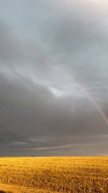 Радуга🌈дуга #shorts