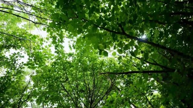 ИЗБАВЛЕНИЕ от Морщин Вокруг ГУБ Легко и Быстро*САБЛИМИНАЛ