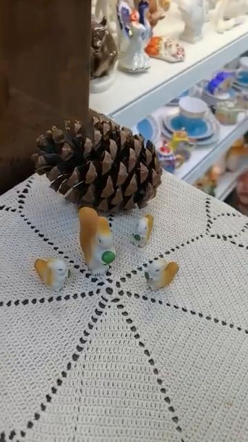 Беличье семейство Тургино