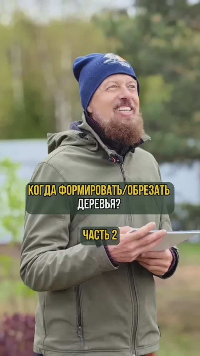 Когда формировать/обрезать деревья. Часть 2