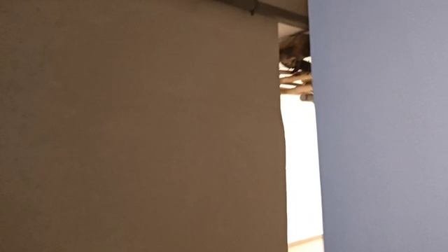 свищ в транзитной трубе ХВС в подвале здания по адресу ул.Перовская д4 к1