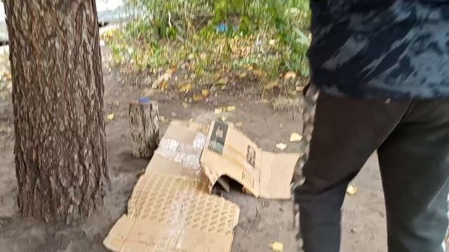 2 серия 3 сезона МАЗАДРИЛА 