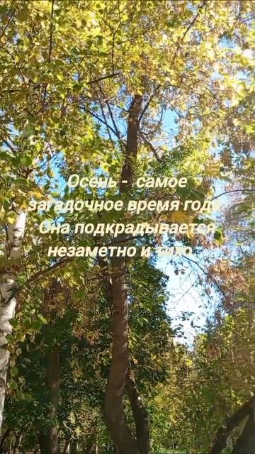 Осень золотая