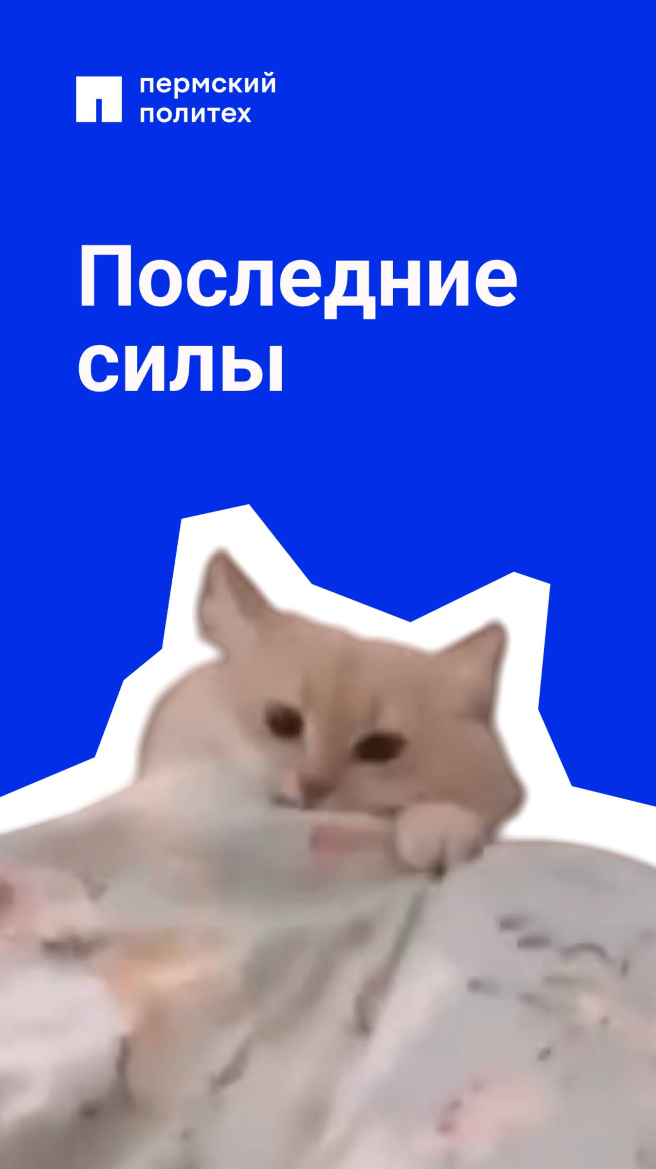 Состояние, когда понимаешь, что билетов 30, а ты выучил только один
