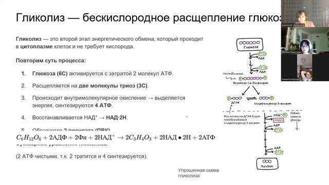 Дыхание и брожение 29.09.25 (2)