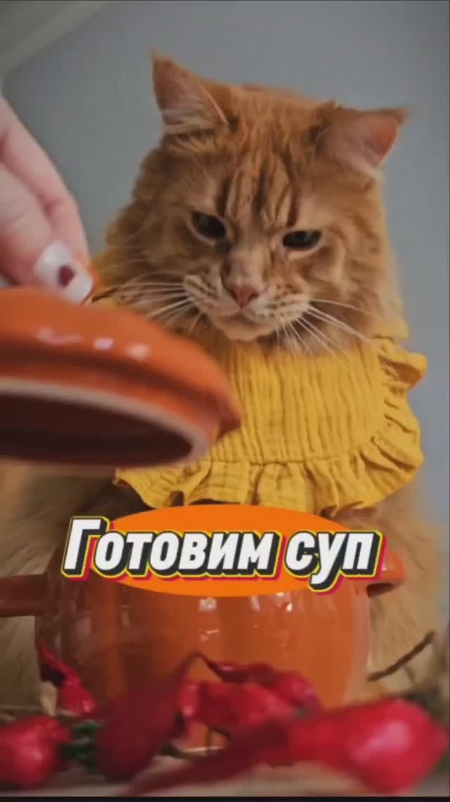 Готовим суп