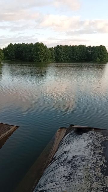 красота