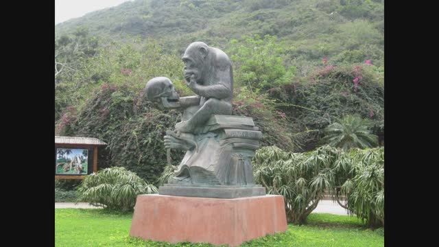 Юг Китая, остров Хайнань в фото-объективе российского туриста