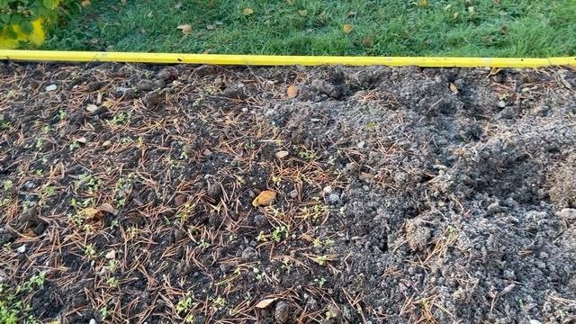Закончен эксперимент с компостером и огородными делами
