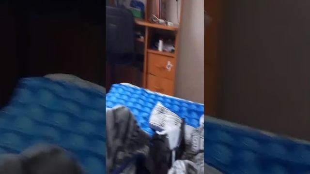 просто трансляция