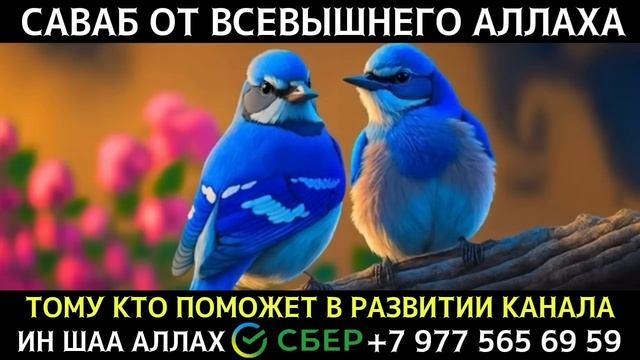 Дуа для исполнения желаний на каждый  день. Слушайте Коран !!