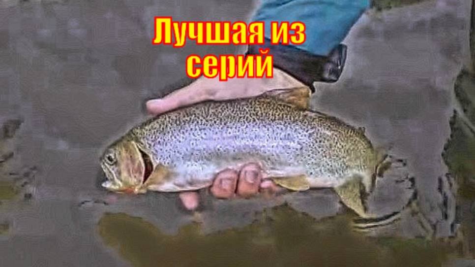 Лучшая из серий