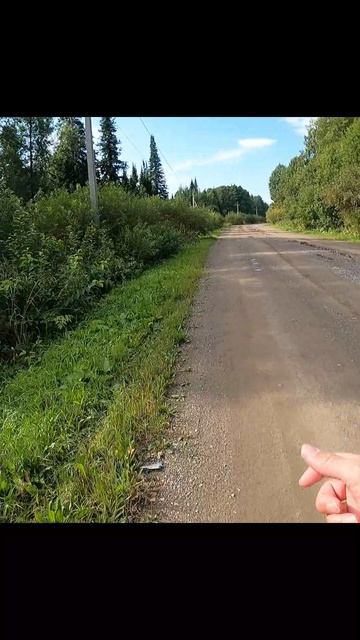 «Камни - ловушки»
