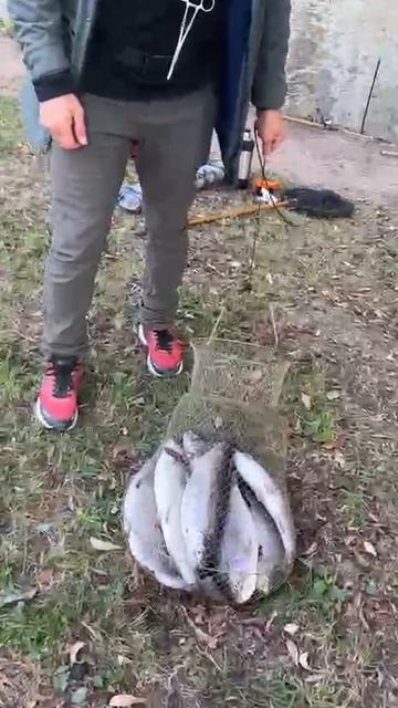 1000113624.mp4