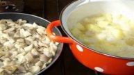 Картошка тушеная с грибами и сметаной