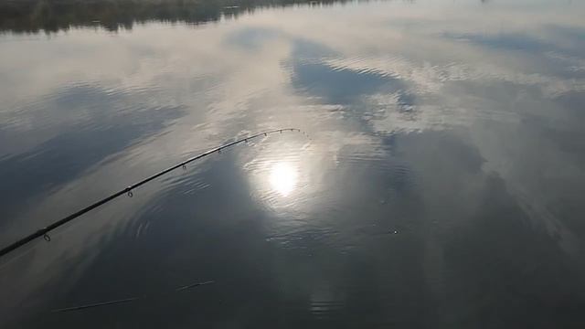 1000036531.mp4