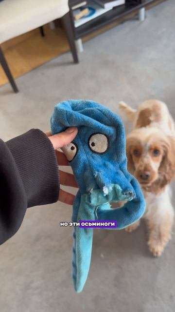 ЛЮБИМАЯ ИГРУШКА СЭМА❤️