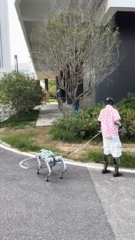 они тоже что то жрут