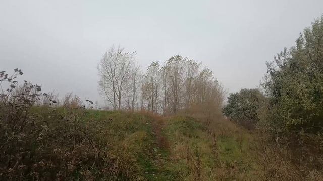 Краски осени. 😊