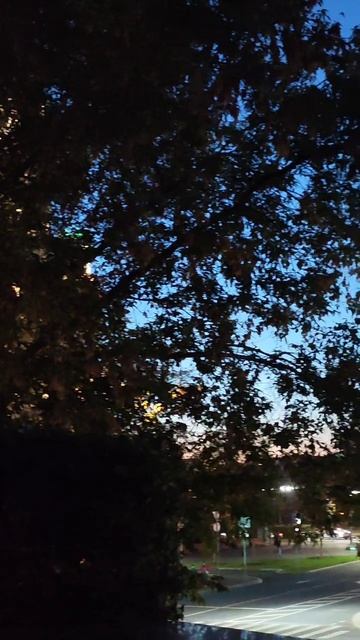 Вид на Сталинскую высотку на Яузе от памятника Дмитрию Донскому