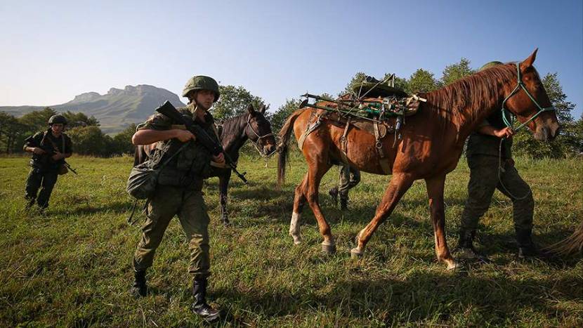 Депутат допустил использование лошадей на СВО