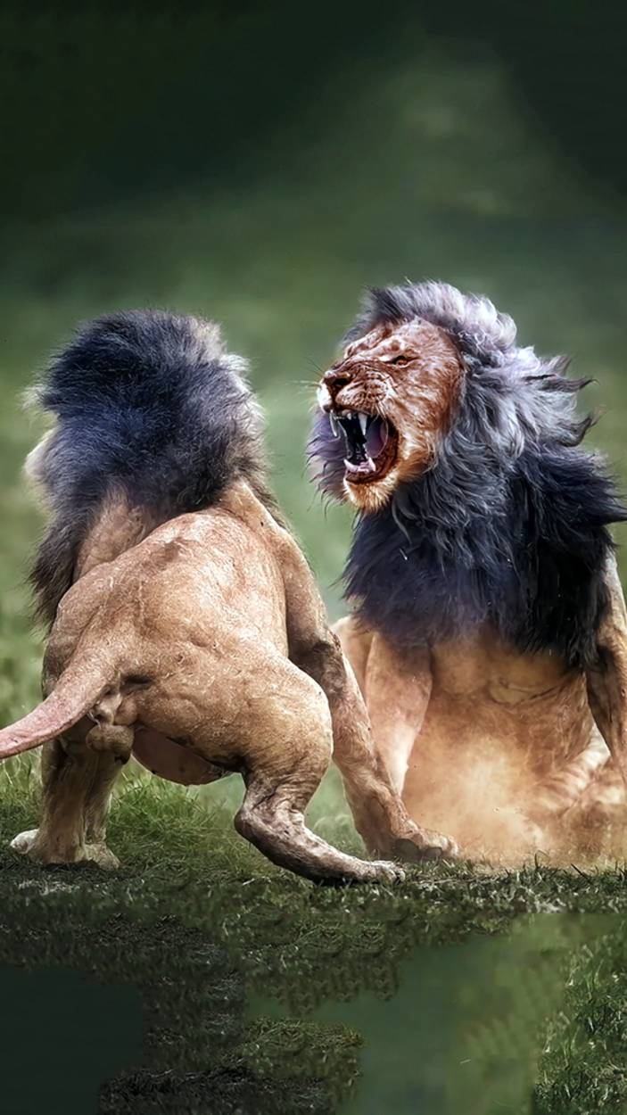 А Ты кто такой? (Full trash)