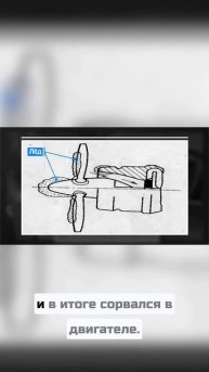 Рейс из Кедрового в Томск от норма до паники