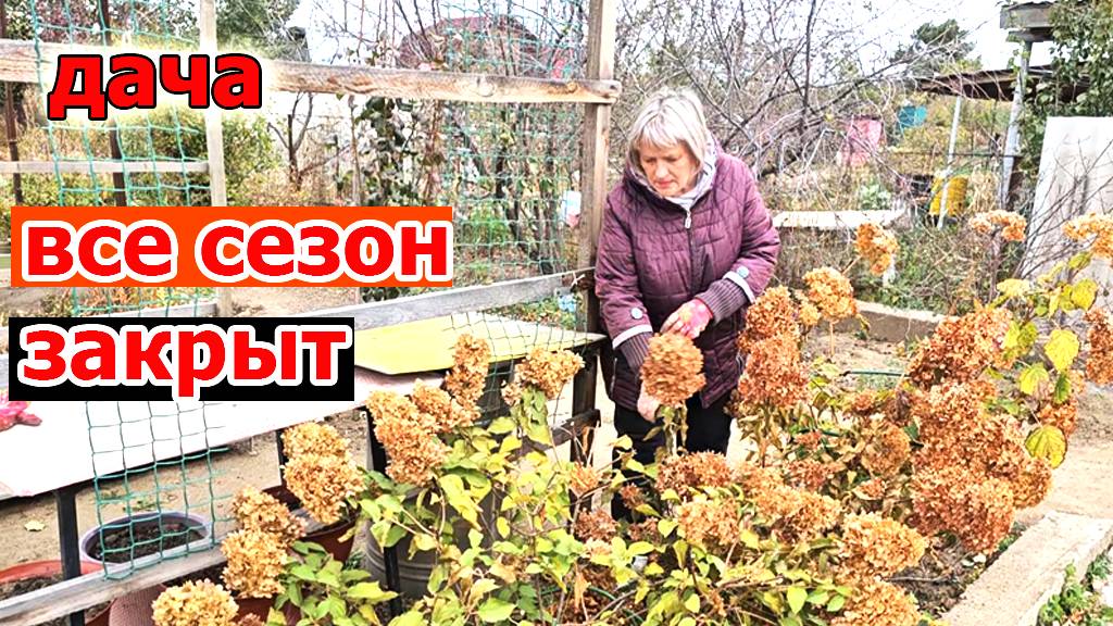 Дача.Вот и закончился дачный сезон.Осталось только закрыть на зиму виноград и ежевику
