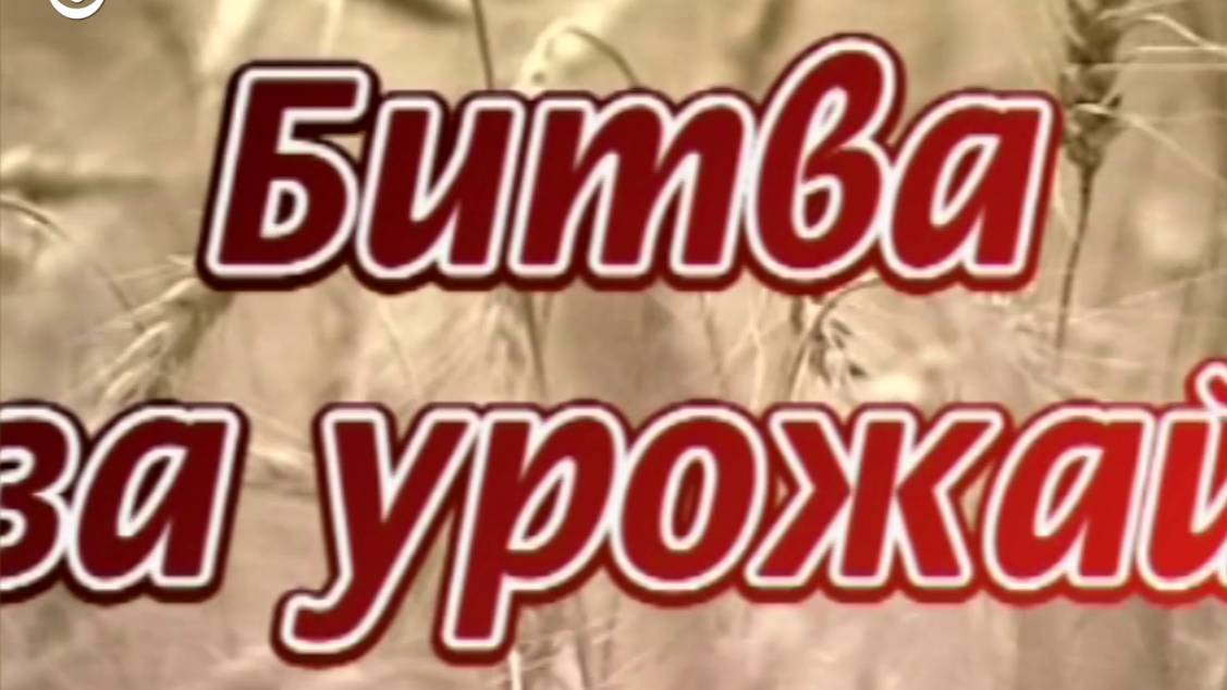 Д/ф 